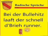 Bullehitz