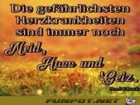 Die gefhrlichsten Herzkrankheiten