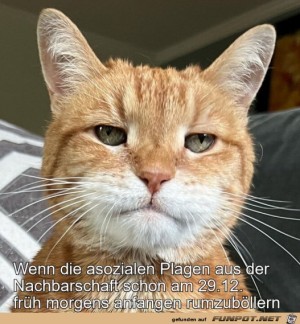 Braucht-kein-Mensch.jpg auf www.funpot.net