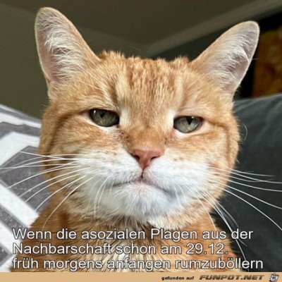 Braucht-kein-Mensch.jpg von Sena