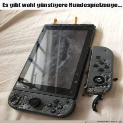 Teurer-Spaß.jpg von Thies