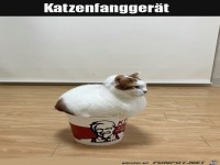 Katzenfangger�t