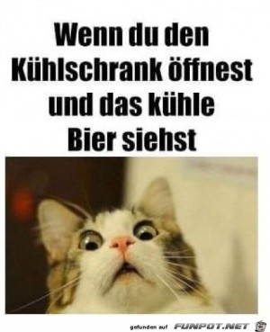 Khles-Bier.jpg auf www.funpot.net