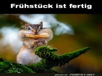 Fr�hst�ck ist fertig