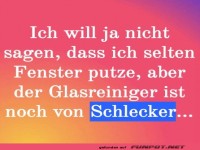 Selten Fenster putzen