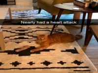 Auf den ersten Blick gruselig