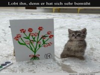 Die seste kreative Katzenkunst
