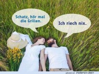 Lustiges Sommergespräch im Gras