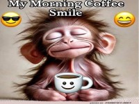 Affe genießt seinen Morgenkaffee