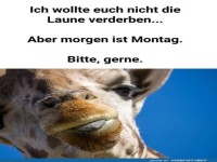 Giraffens Weckruf: Montag naht!