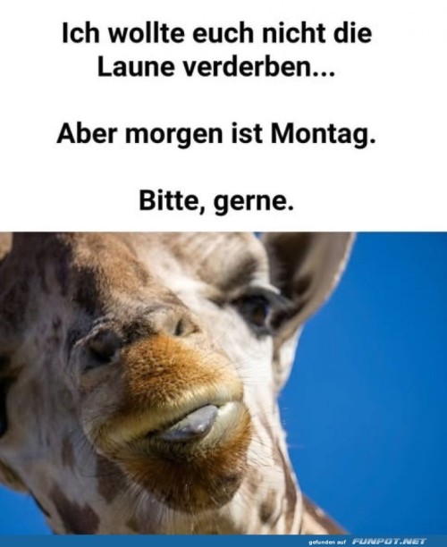 Giraffens-Weckruf:-Montag-naht!.jpg auf www.funpot.net