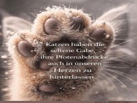 Pfoten, die Herzen erobern