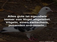 V�gel: Meister der Wortspiele!