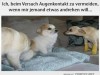 weiter