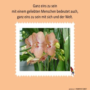 Ganz-eins-zu-sein.jpg von Sirene