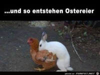 Ostereier01