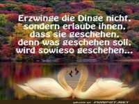 Erzwinge die Dinge nicht