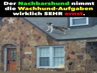 Wachhund