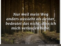 nur weil mein weg