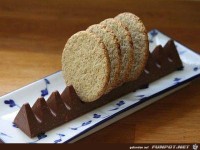 Und auf einmal macht alles Sinn