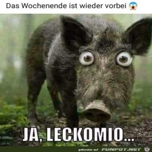 Begr&uuml;&szlig;ungsbild