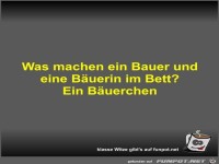 Was machen ein Bauer und eine B�uerin im Bett?