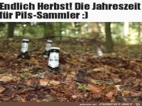 Pils-Sammler-Jahreszeit