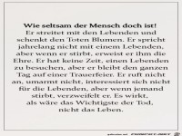 wie seltsam der Mensch doch ist