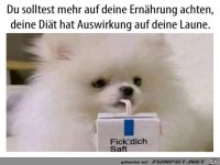 Du solltest mehr auf deine Ernhrung achten