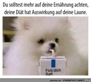Du-solltest-mehr-auf-deine-Ernährung-achten.jpg auf www.funpot.net