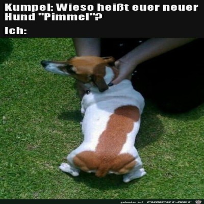 Pimmel.jpg von Keule56