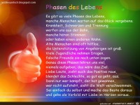 Phasen des Lebens
