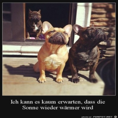 Die-Sonne-wird-w&auml;rmer.jpg von Cedric