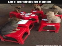 Gem�tliche Runde
