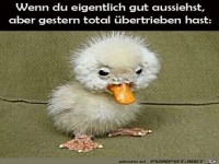 Bisschen �bertrieben