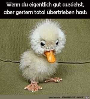 Bisschen-bertrieben.jpg auf www.funpot.net