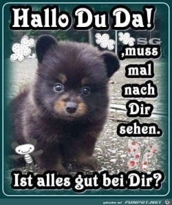 Hallo-Du-Da.jpg auf www.funpot.net