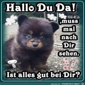 Begrüßungsbild