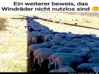 Windr�der sind nicht nutzlos
