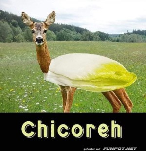 Lustiges-Reh.jpg auf www.funpot.net