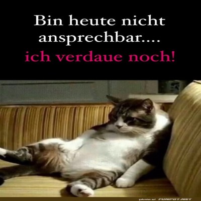 Nicht-ansprechbar.jpg von Scott34