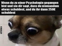 berraschung beim Psychologenbesuch