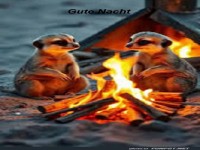 Gute Nacht