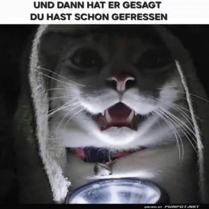 fun-Bild: Wenn die Katze den Gruselmeister spielt