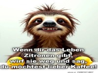 Faultiere brauchen keinen Zitronen-Squeeze!