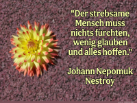 der strebsame mensch