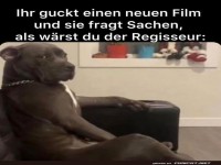 Der geheime Regisseur im Wohnzimmer