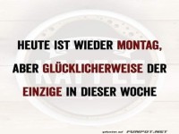 Montagsblues mit einer Prise Humor