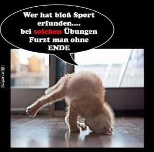 fun-Bild: Kater's Fitness-Tipps: Ohne Ende!