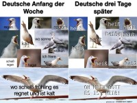 Wetterwende mit M�wenchaos